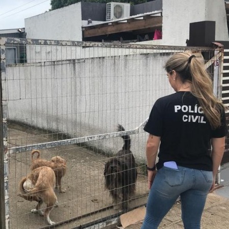 Polícia Civil deflagra terceira fase da Operação É O Bicho no Litoral Norte