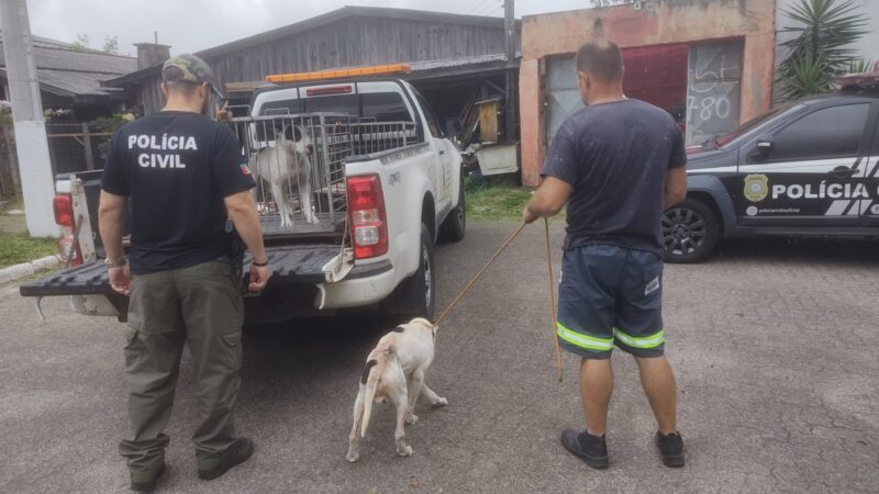 POLÍCIA CIVIL PRENDE MULHER POR MAUS TRATOS CONTRA ANIMAIS EM OSÓRIO