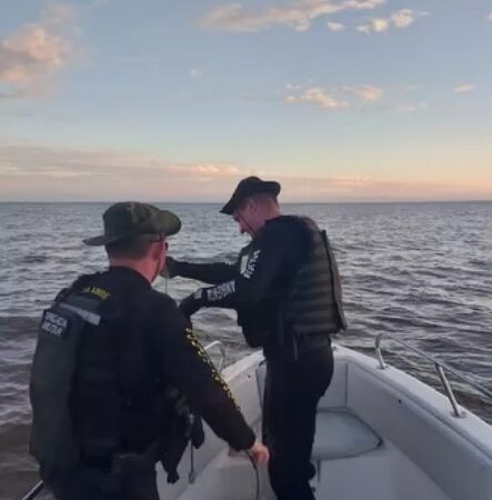 Policiamento Aquático é intensificado durante a 54ª Operação Golfinho no Litoral Norte 