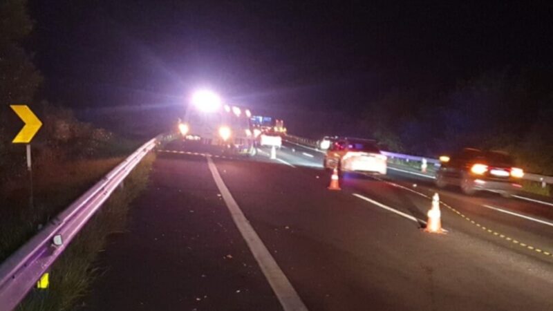 Pedestre morre atropelado na Freeway em Santo Antônio da Patrulha