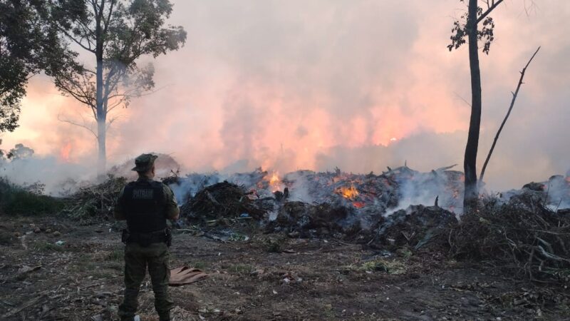 1° BABM lavra ocorrência comunicando possível crime ambiental em Capão Novo