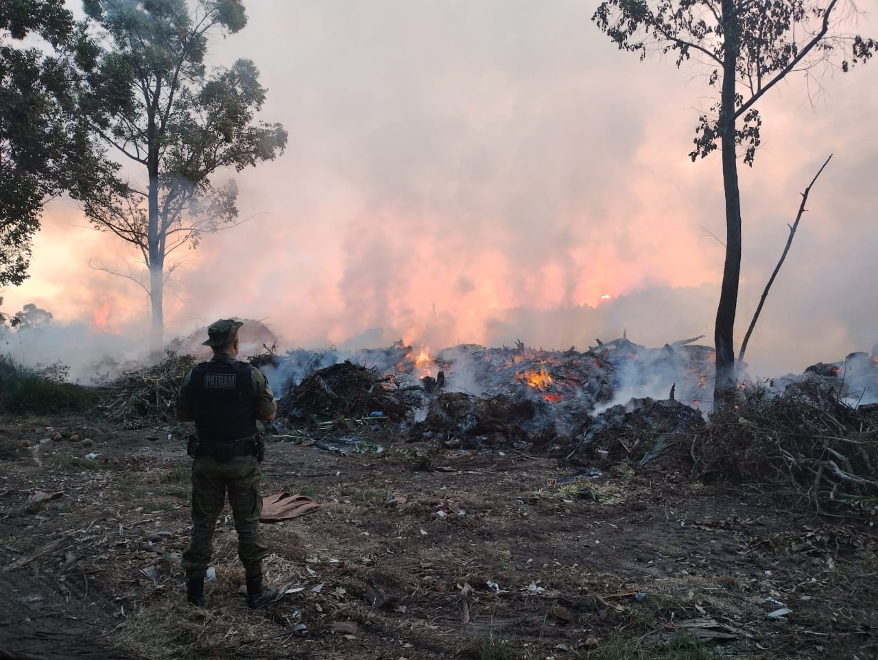 1° BABM lavra ocorrência comunicando possível crime ambiental em Capão Novo