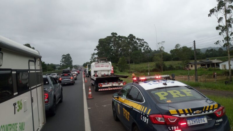 Cavalo é sacrificado após ser atropelado na BR-101 em Torres