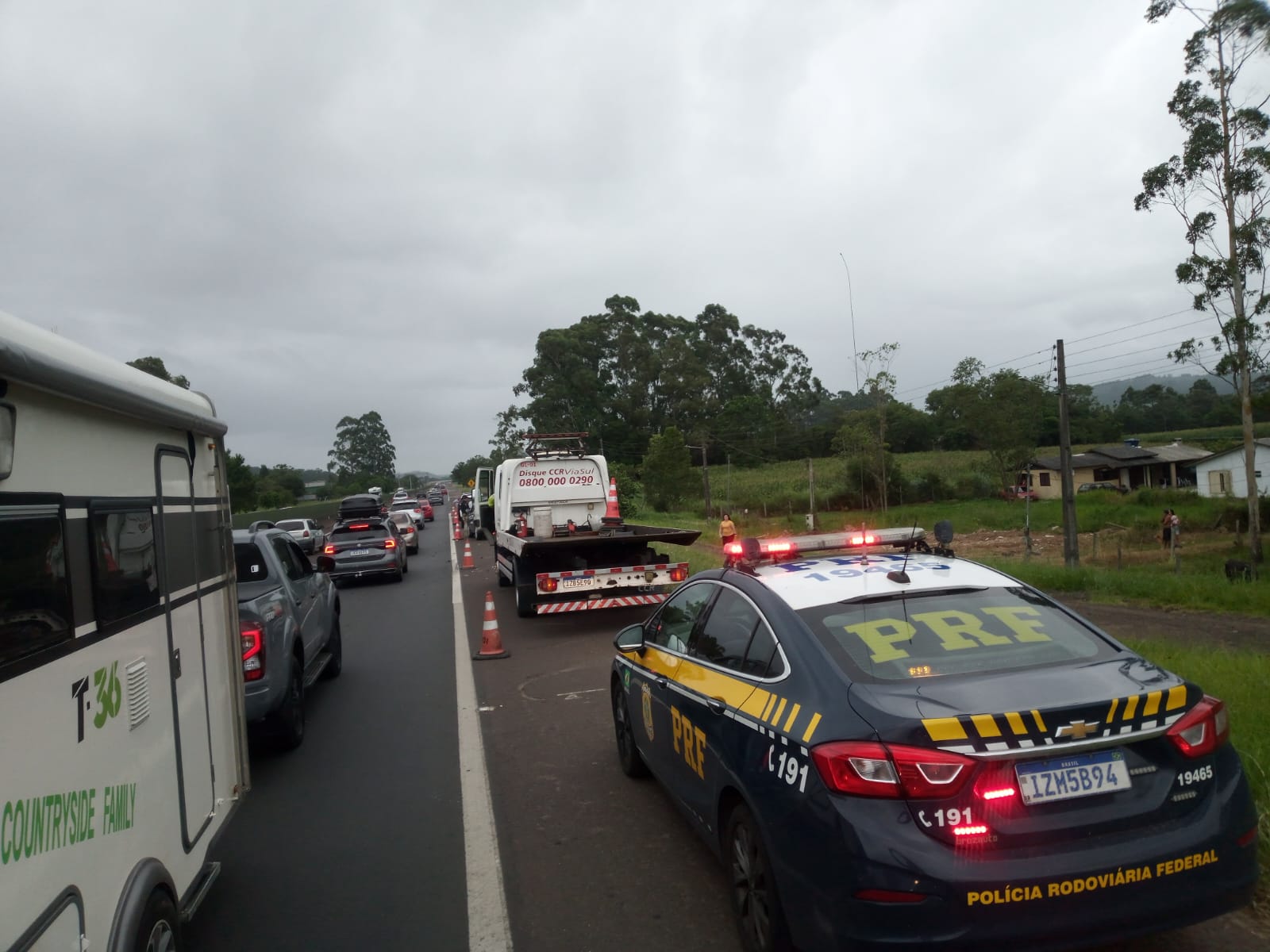 Cavalo é sacrificado após ser atropelado na BR-101 em Torres