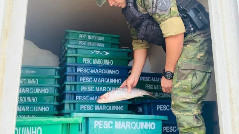 1º Batalhão Ambiental da Brigada Militar apreende mais de 500 quilos de pescado em Capivari do Sul