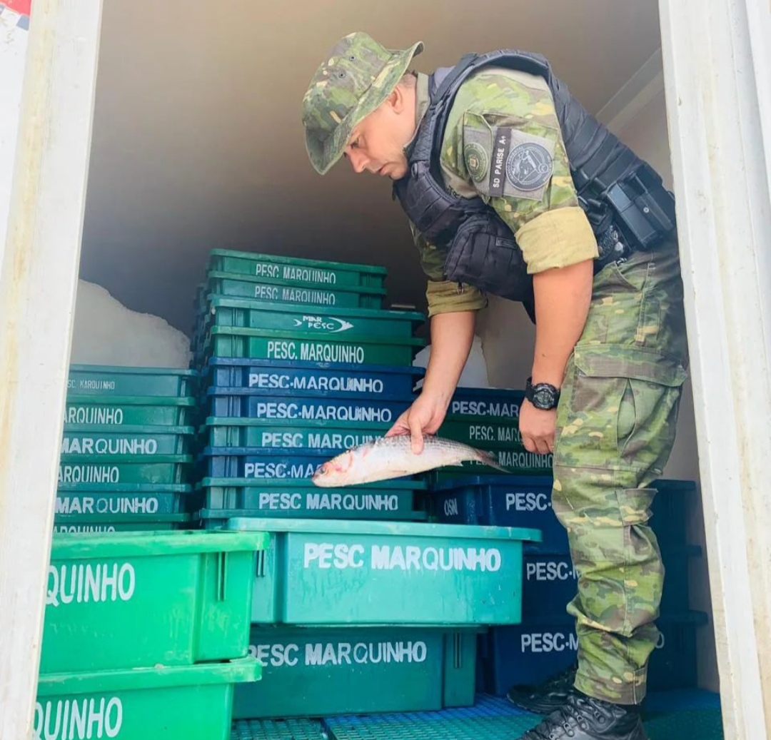 1º Batalhão Ambiental da Brigada Militar apreende mais de 500 quilos de pescado em Capivari do Sul