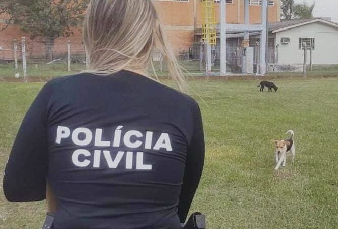 POLÍCIA CIVIL FISCALIZA LOCAIS DE MAUS TRATOS CONTRA ANIMAIS DOMÉSTICOS EM OSÓRIO
