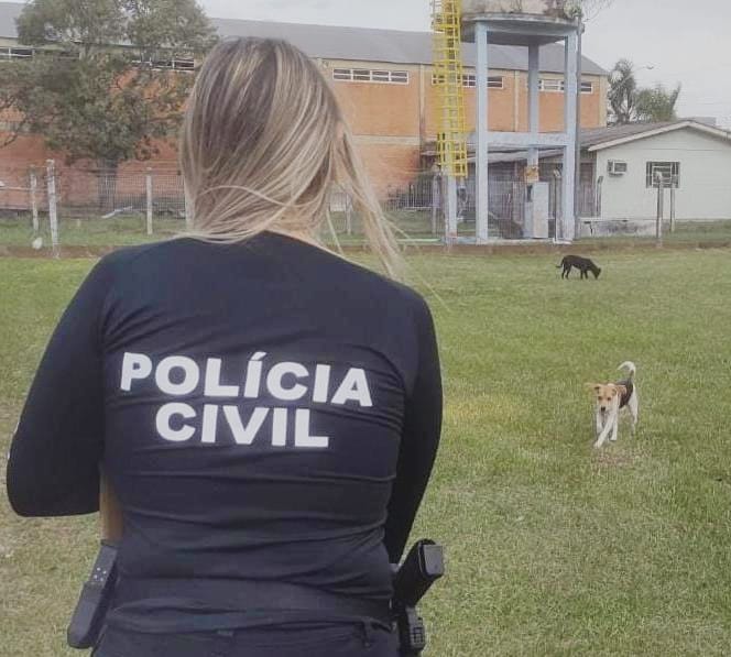POLÍCIA CIVIL FISCALIZA LOCAIS DE MAUS TRATOS CONTRA ANIMAIS DOMÉSTICOS EM OSÓRIO