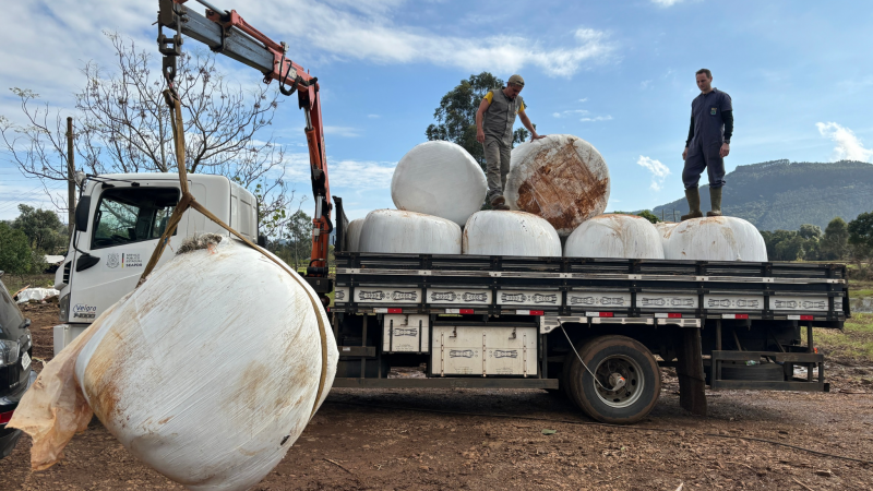 Produtores gaúchos afetados pelas enchentes recebem doações de alimentos para os animais