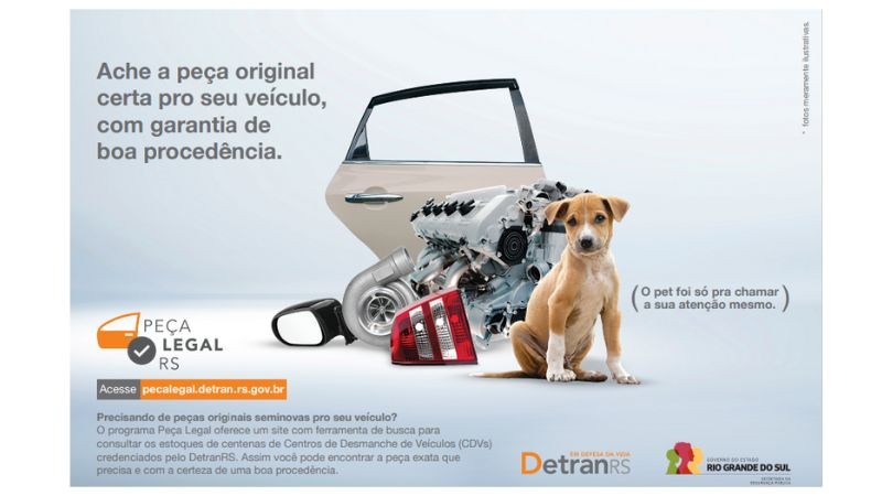 Pets resgatados ajudam a divulgar site de busca de peças originais usadas