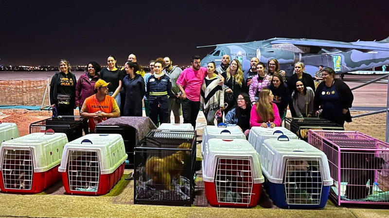 Governo do RS e Força Aérea Brasileira oferecem transporte gratuito para estimular adoção de animais resgatados