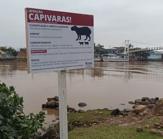 TORRES: Secretaria do Meio Ambiente e Urbanismo coloca placas orientativas sobre a presença das capivaras na Orla do Rio Mampituba