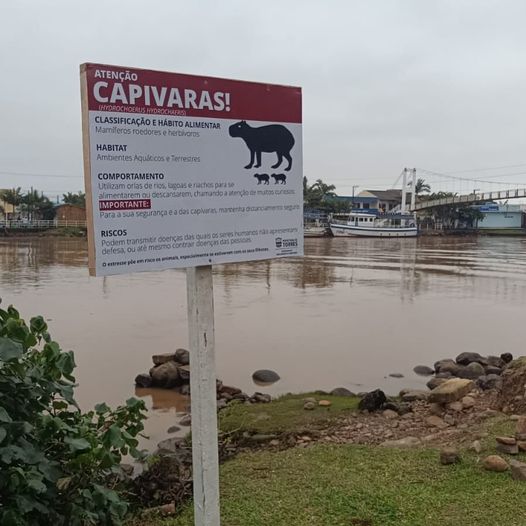 TORRES: Secretaria do Meio Ambiente e Urbanismo coloca placas orientativas sobre a presença das capivaras na Orla do Rio Mampituba