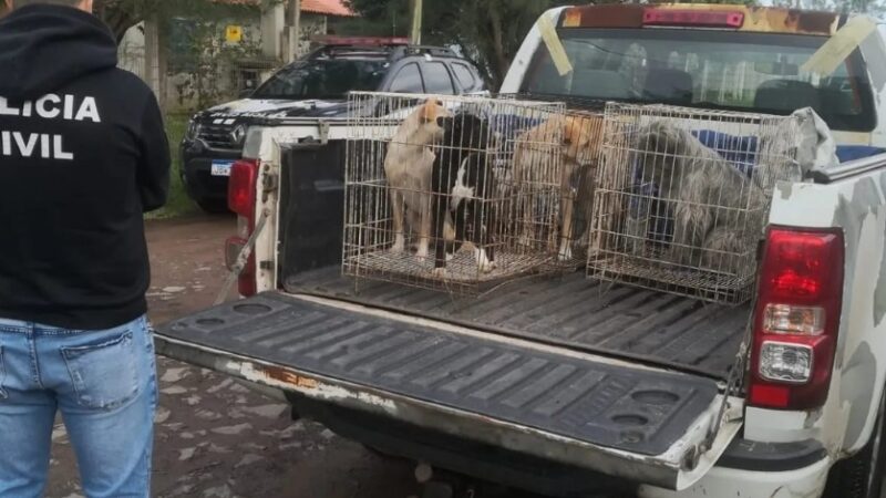 POLÍCIA CIVIL E VIGILÂNCIA SANITÁRIA RECOLHEM CÃES EM SITUAÇÃO DE MAUS-TRATOS EM TRAMANDAÍ