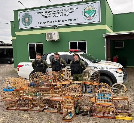 Brigada Militar resgata pássaros silvestres mantidos em cativeiro em Xangri-Lá