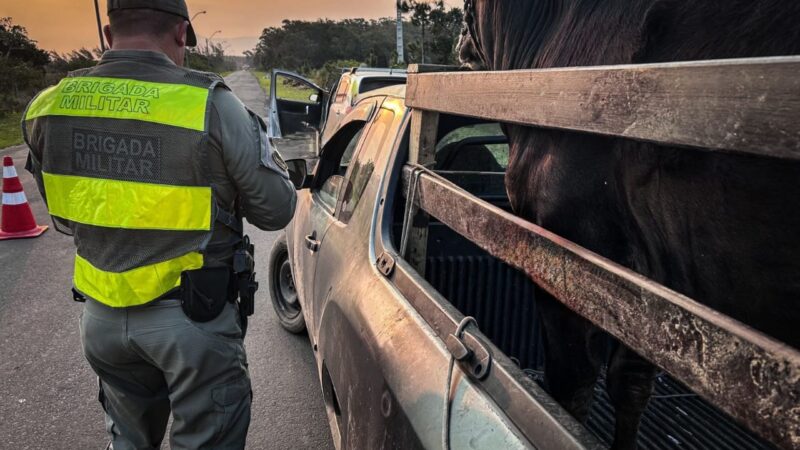 Abigeato é reprimido com Operação Pampa