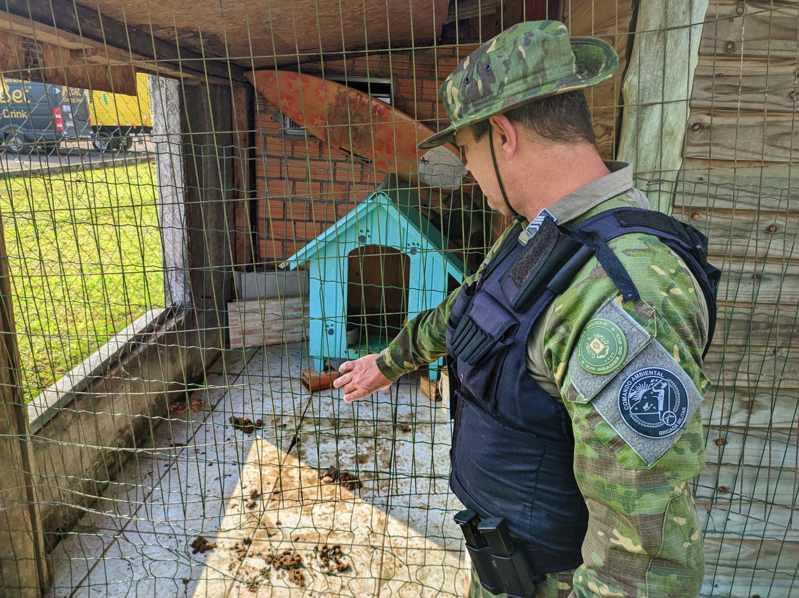 Brigada Militar flagra animal em situação de maus-tratos no Litoral Norte