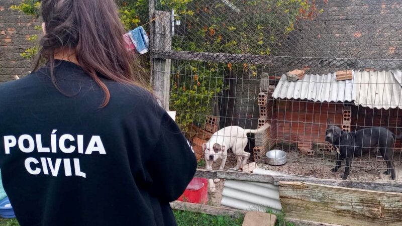 POLÍCIA CIVIL FISCALIZA LOCAIS DE MAUS TRATOS CONTRA ANIMAIS DOMÉSTICOS EM OSÓRIO