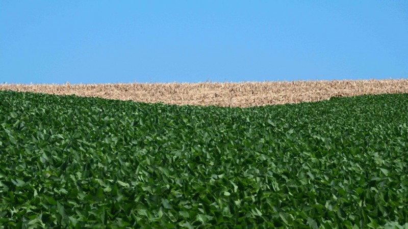 La Niña fraca deve marcar clima nos próximos três meses