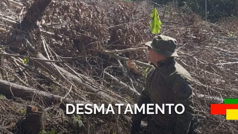 Brigada Militar flagra supressão de vegetação nativa no Litoral Norte