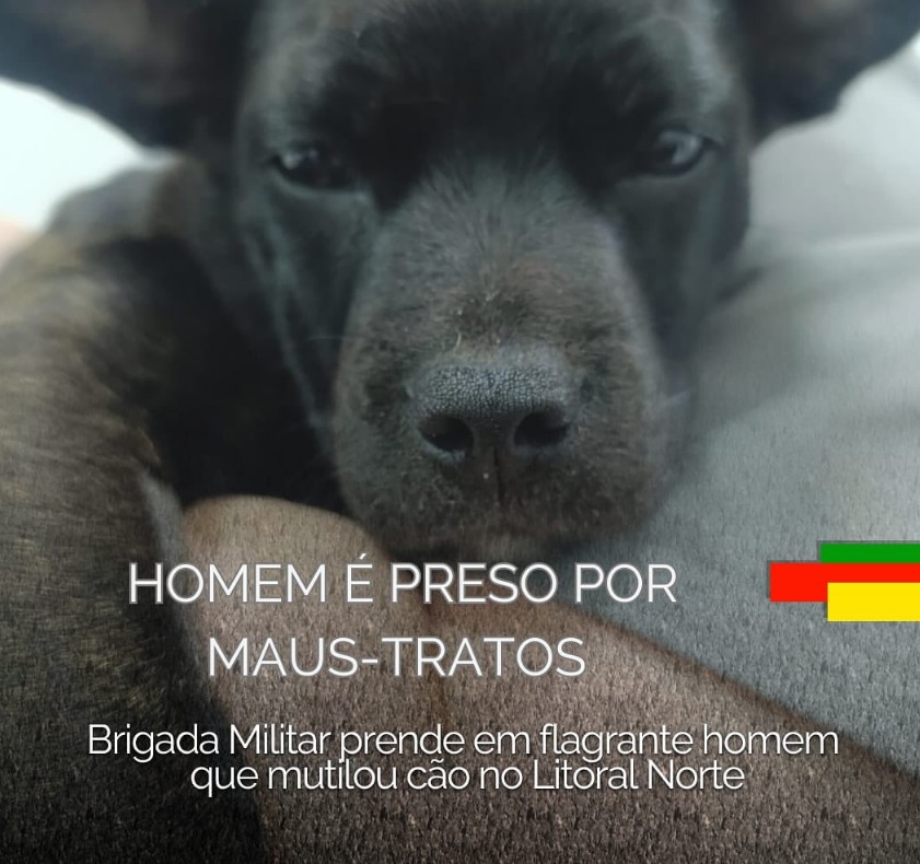 Brigada Militar prende homem que mutilou cachorro no Litoral Norte