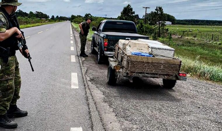 PATRAM apreende 106 Kg de pescado proibido em Palmares do Sul