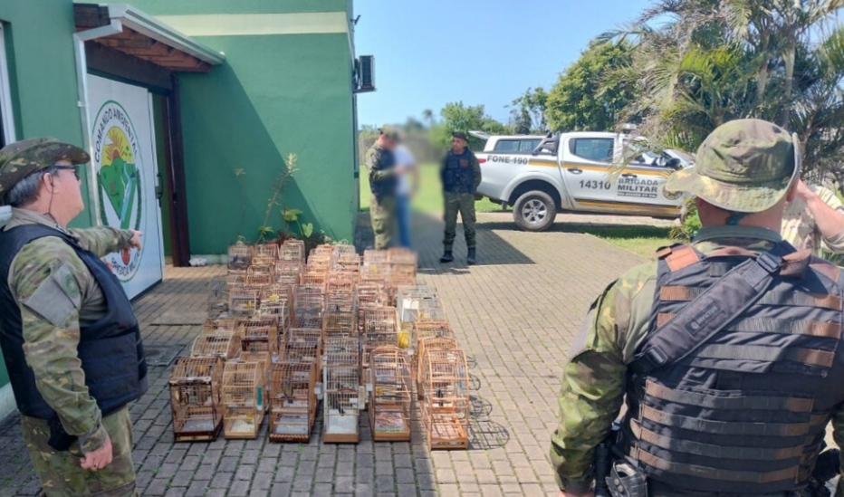 Brigada Militar flagra torneio clandestino de canto de pássaros no Litoral Norte