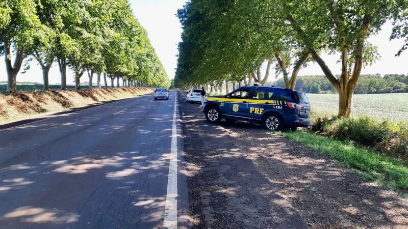 Polícia Rodoviária Federal no RS apresenta balanço da Operação Rodovida Natal