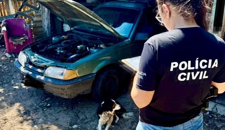 POLÍCIA CIVIL DEFLAGRA QUARTA EDIÇÃO DA OPERAÇÃO “É O BICHO” NO LITORAL NORTE