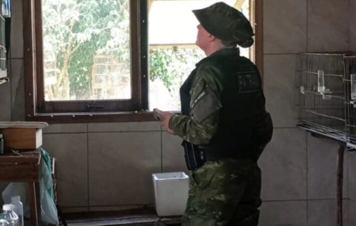 Brigada Militar realiza apreensão de pássaros silvestres mantidos em cativeiro em Santo Antônio da Patrulha