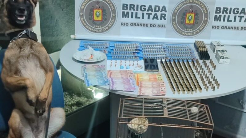 BM realiza prisão por tráfico de drogas, posse irregular de munições e crimes contra a fauna em Osório