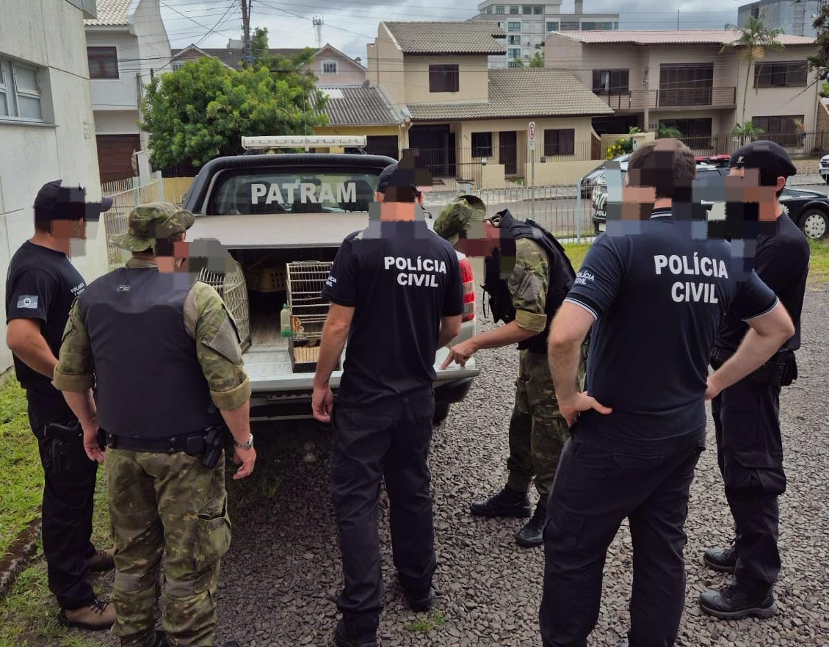 POLÍCIA CIVIL REALIZA OPERAÇÃO ALCATEIA NO COMBATE A HOMICÍDIOS EM OSÓRIO