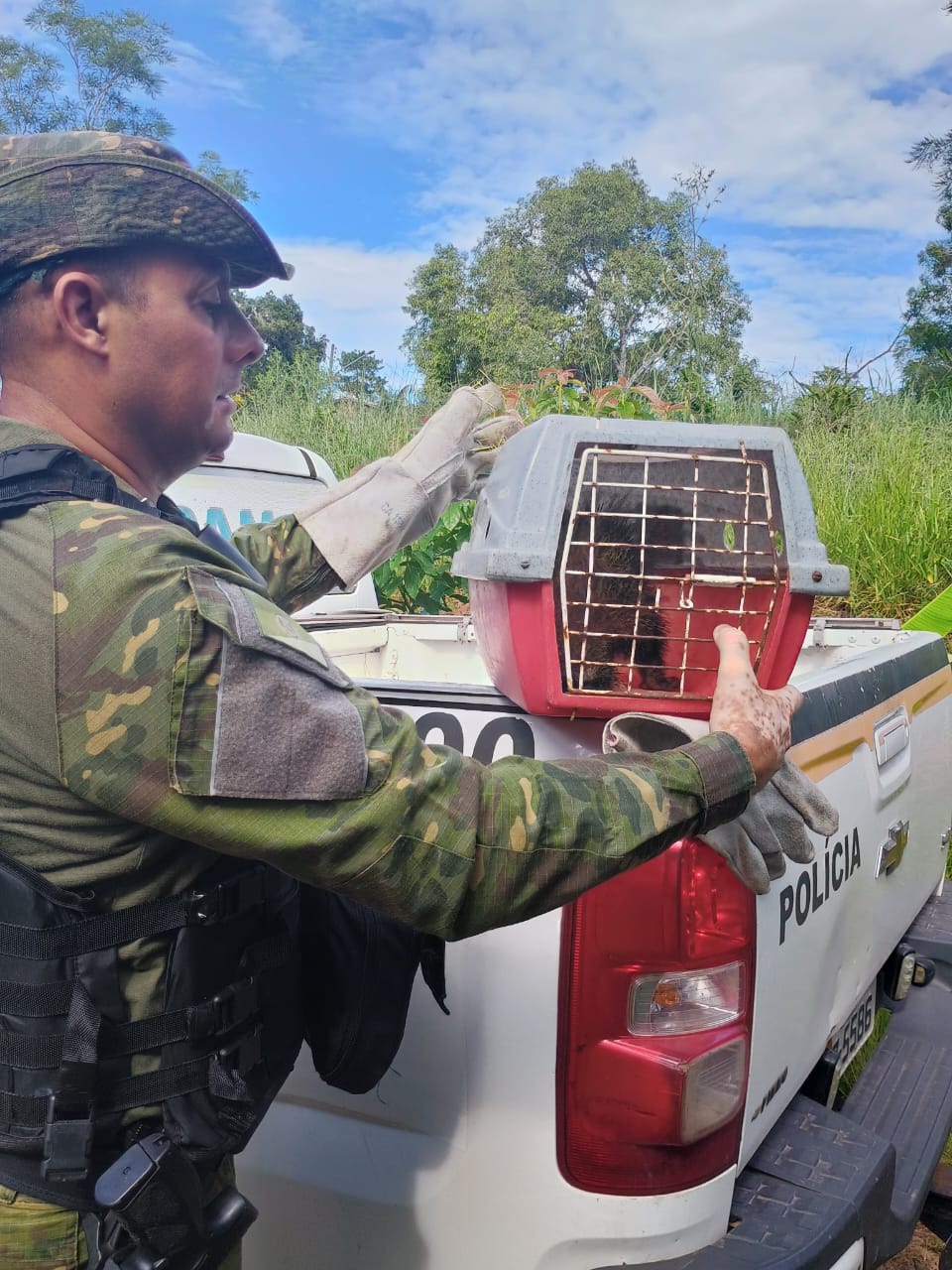 Brigada Militar realiza resgate de Ouriço em área urbana de Torres