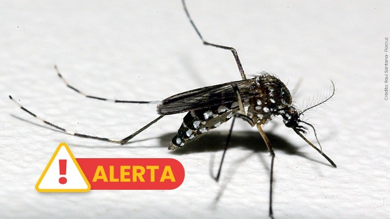 Secretaria da Saúde confirma caso de dengue tipo 3 no Rio Grande do Sul