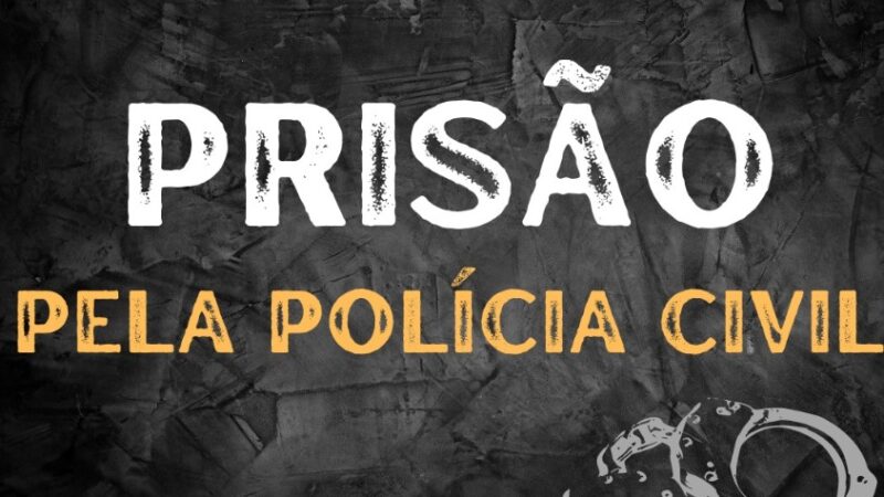 POLÍCIA CIVIL APREENDE DOIS MENORES SUSPEITOS DE INCÊNDIOS CRIMINOSOS EM BALNEÁRIO PINHAL