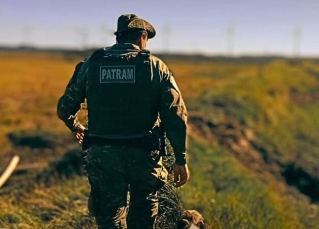 Brigada Militar identifica desmatamento ilegal em área de preservação permanente no interior de Osório