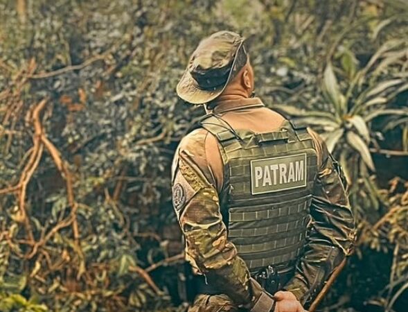 Brigada Ambiental flagra maus-tratos e desmatamento ilegal em duas cidades do Litoral Norte