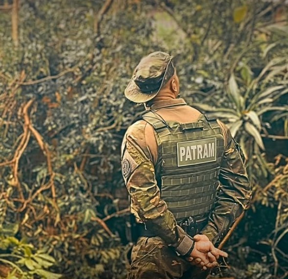 Brigada Ambiental flagra maus-tratos e desmatamento ilegal em duas cidades do Litoral Norte