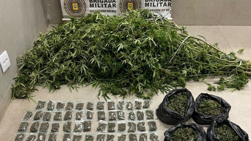 BM apreende maconha do tipo “camarão” em Maquiné