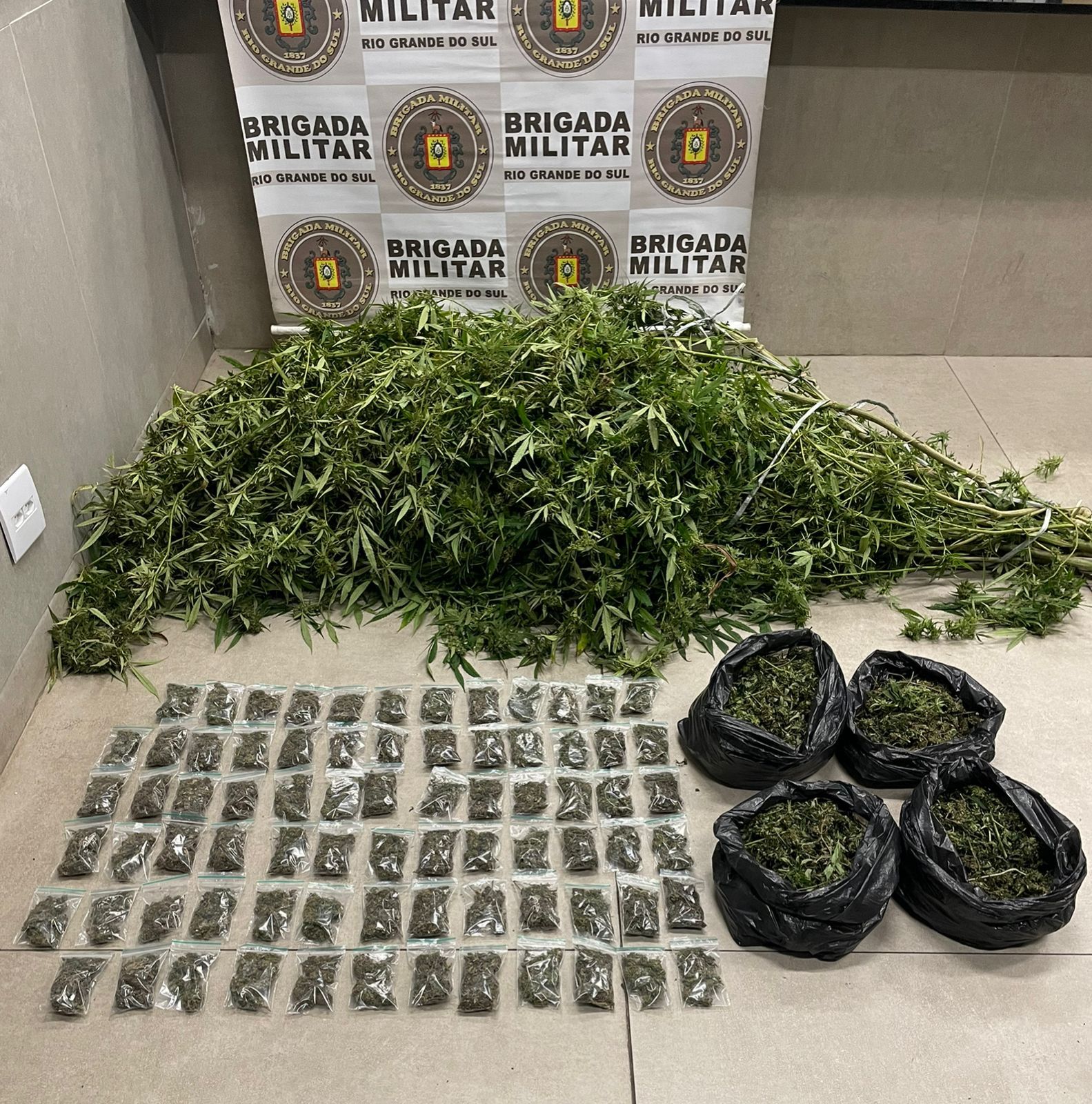 BM apreende maconha do tipo “camarão” em Maquiné