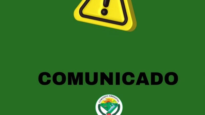 Ataque de possível puma a agricultor mobiliza forças ambientais em Maquiné