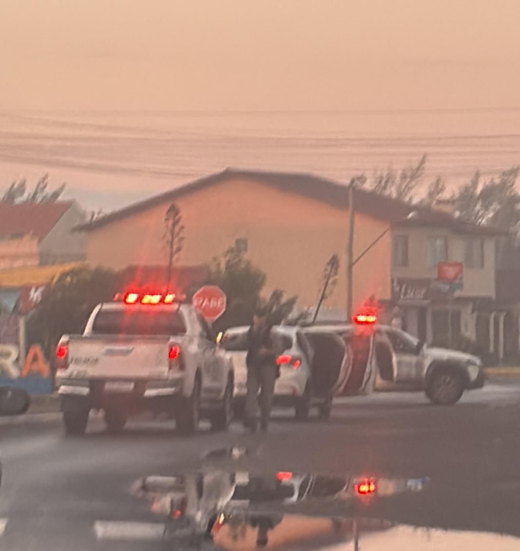 BM apreende mais de mil porções de drogas em Cidreira