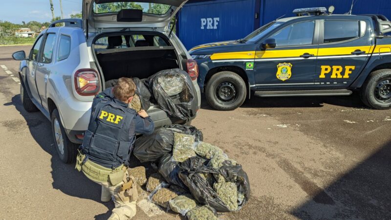 PRF prende homem com 37 kg de skunk em Torres