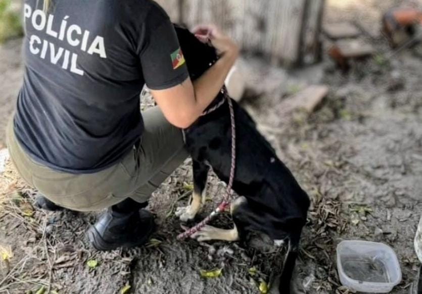 POLÍCIA CIVIL FISCALIZA LOCAIS DE MAUS TRATOS CONTRA ANIMAIS DOMÉSTICOS EM OSÓRIO