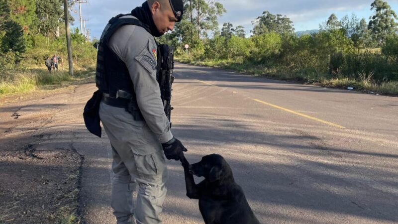 Policial Militar do 8º BPM adota cadela em situação de abandono durante ocorrência