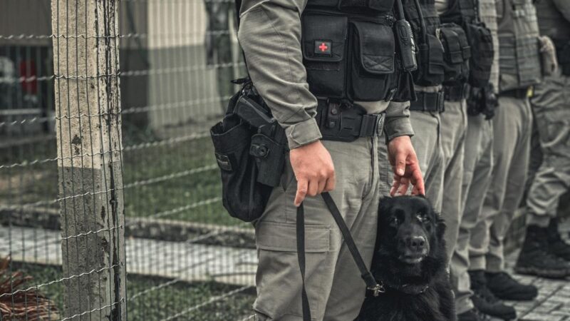 Operação Plano Tático resulta em 10 prisões e grande apreensão de drogas no Litoral