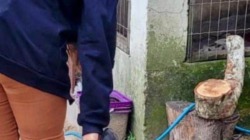 Polícia Civil fiscaliza locais de maus tratos contra animais domésticos em Osório