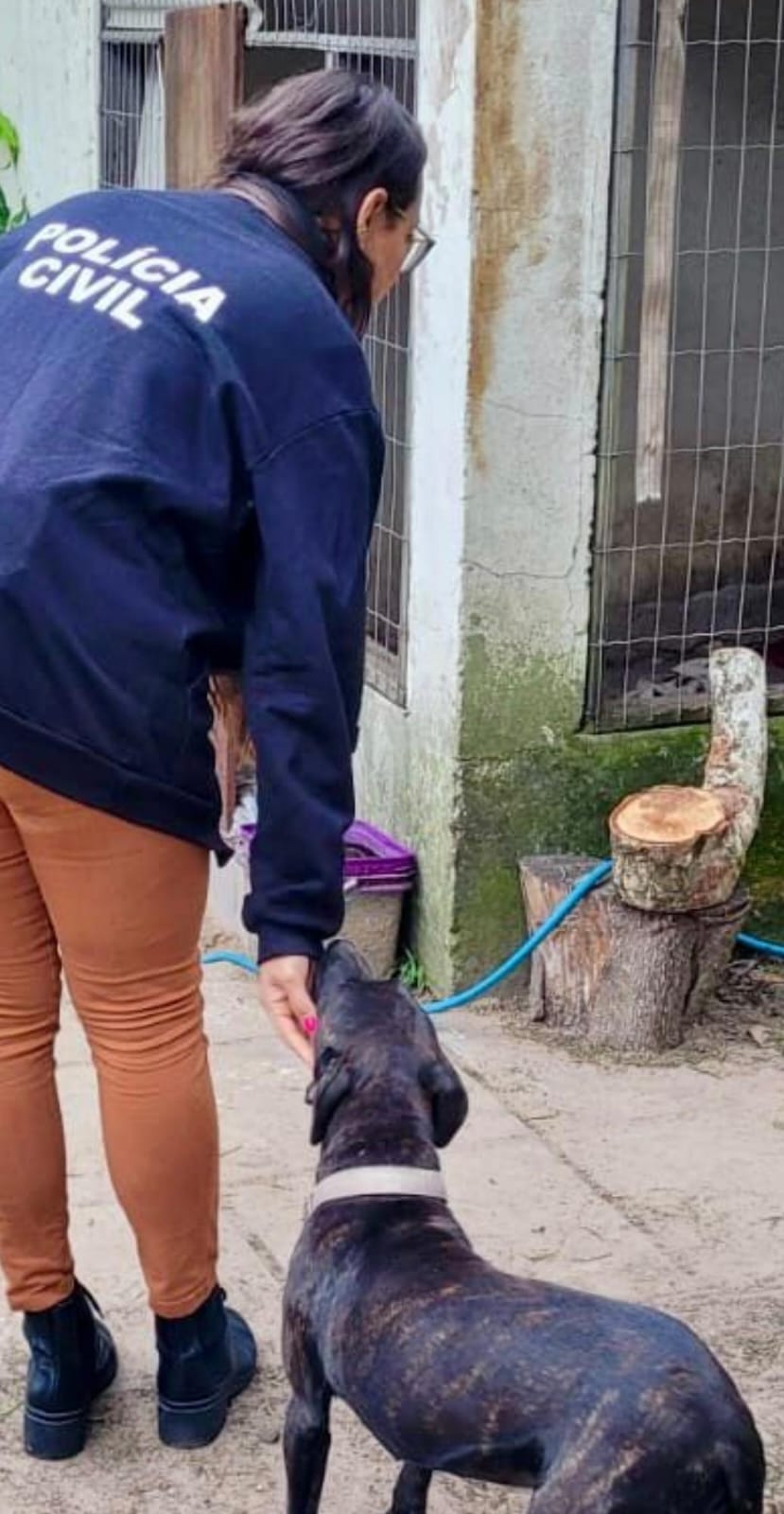 Polícia Civil fiscaliza locais de maus tratos contra animais domésticos em Osório
