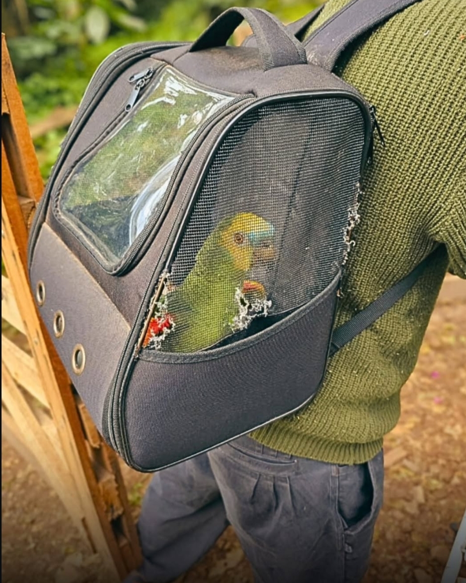 1° BABM realiza averiguação no município de Maquiné