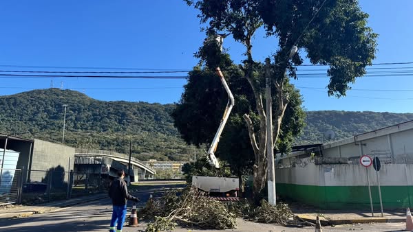 SECRETARIA DE MEIO AMBIENTE RETOMA O SERVIÇO DE PODAS DE ÁRVORES EM OSÓRIO